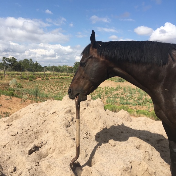 Riding forever! - Picture 3 of 7